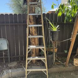 7 1/2 Ladder