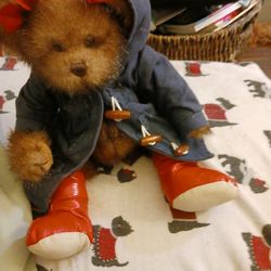 Paddington Bear