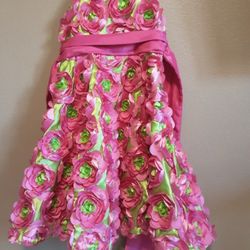 GIRLS DRESS SIZE 4T/4, RARE EDITIONS PINK/GREEN DRESS WITH CRINOLINE (FREE LOCAL PICK UP)
