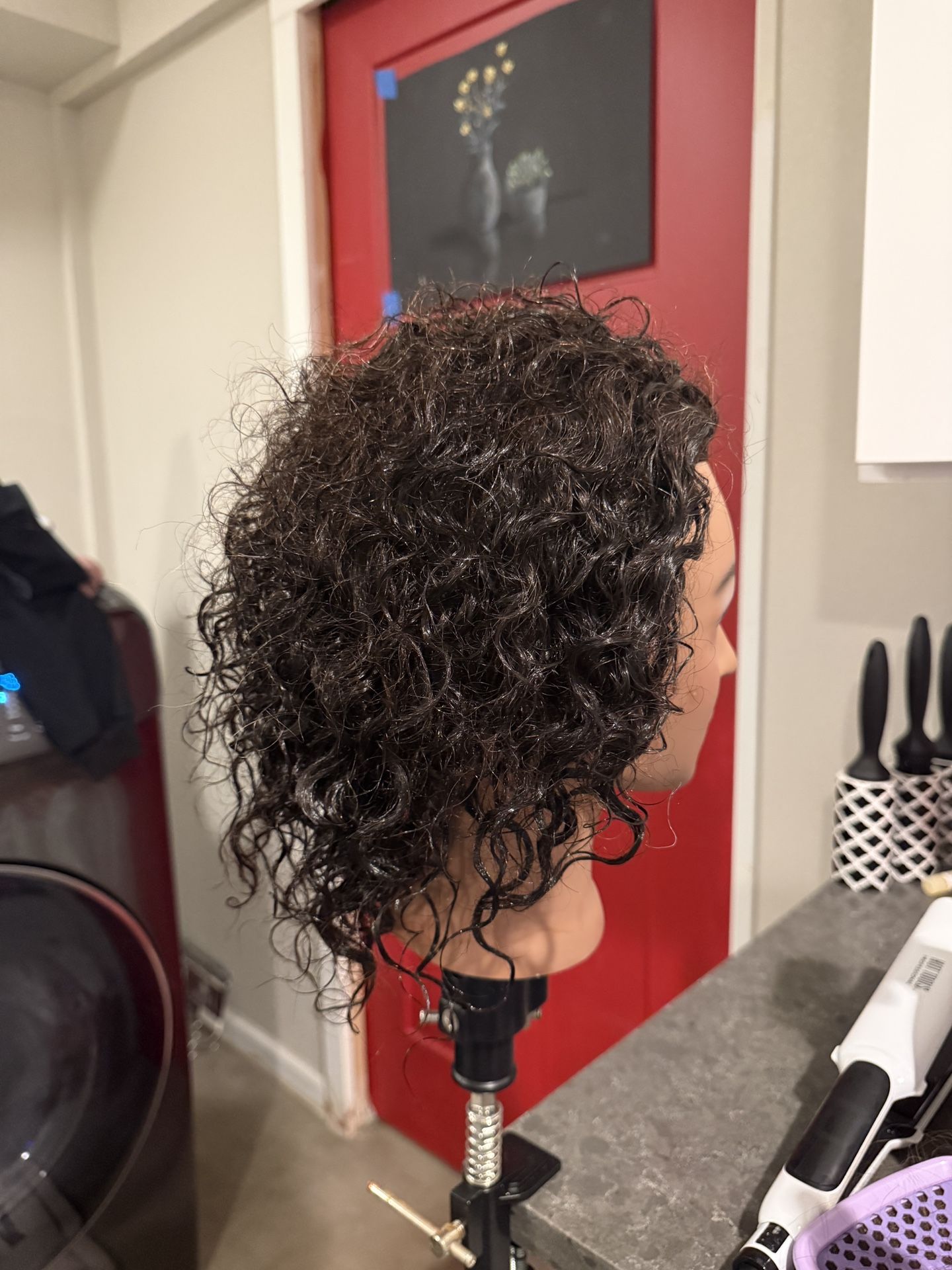 Mannequin Heads/ Holder 