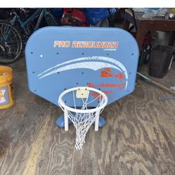 Pool Basketball Hoop