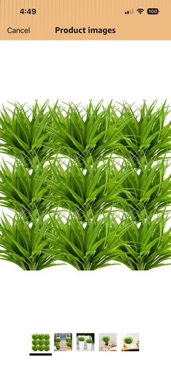Fake Grass