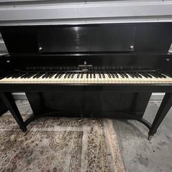 OUR BLACK FRIDAY PIANO SALE ENDS TODAY! FREE DELIVERY & TUNING! + WARRANTY!