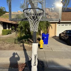 FREE Basketball Hoop
