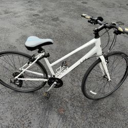 Giant Alight Liv Women’s Bike  