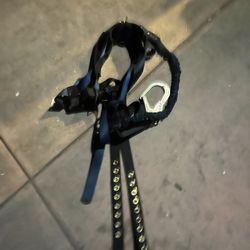 Harness 