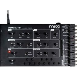 Moog Analog Synthesizer 