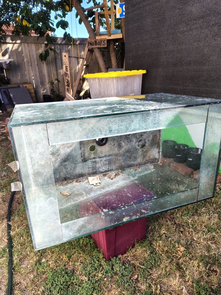 Free Fish Tank.