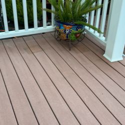 Talavera Pots With Palm Plant 