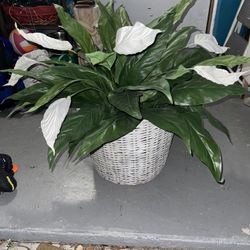 Fake Plant With Basket 
