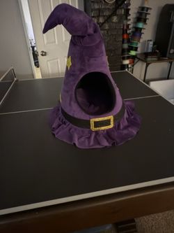 Witch Hat Cat House