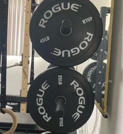 Rogue Echo V2 Bumper Plates