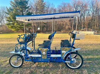 Surrey Limousine Deluxe Quadricycle