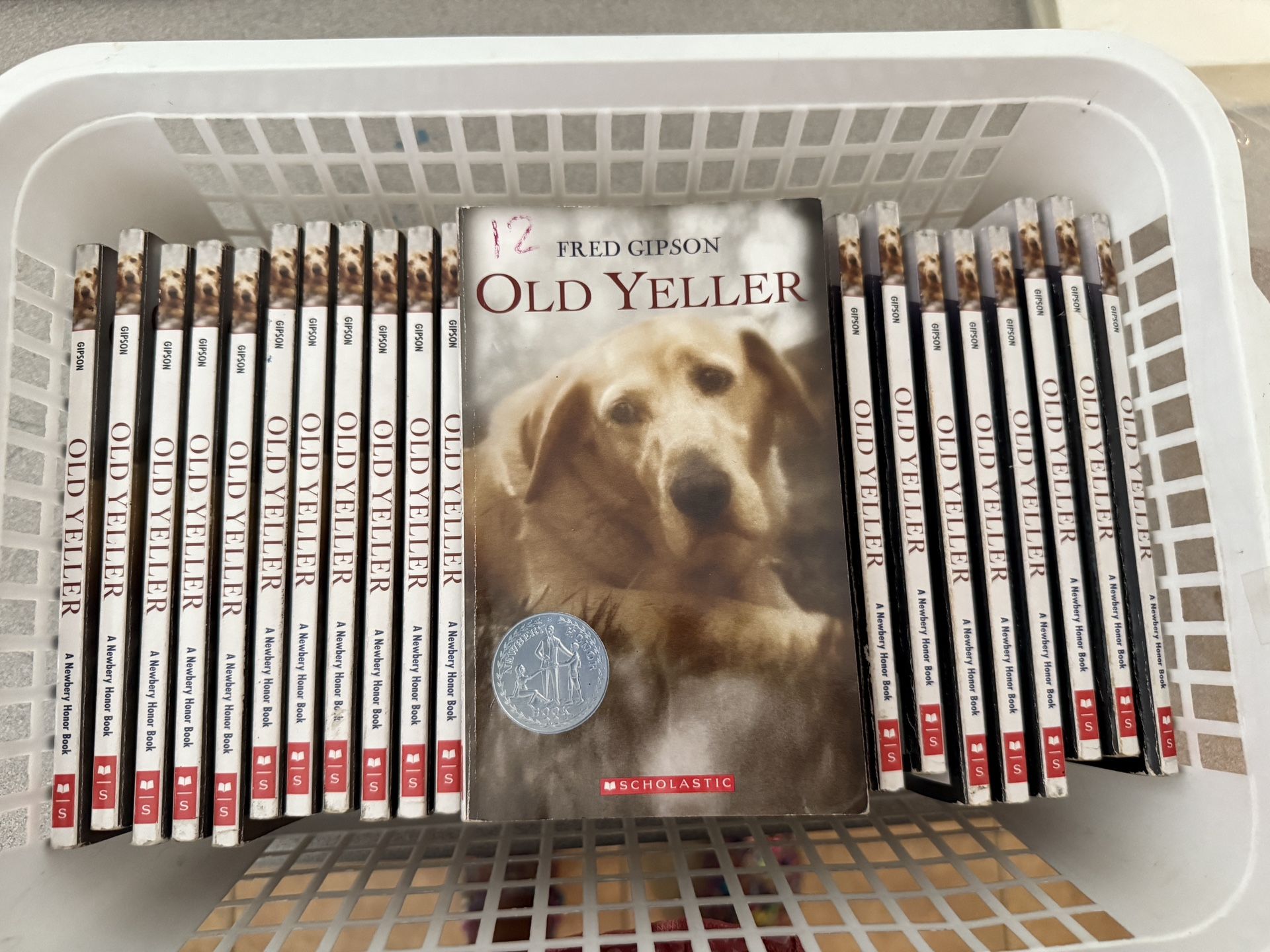 Old Yeller Class Set