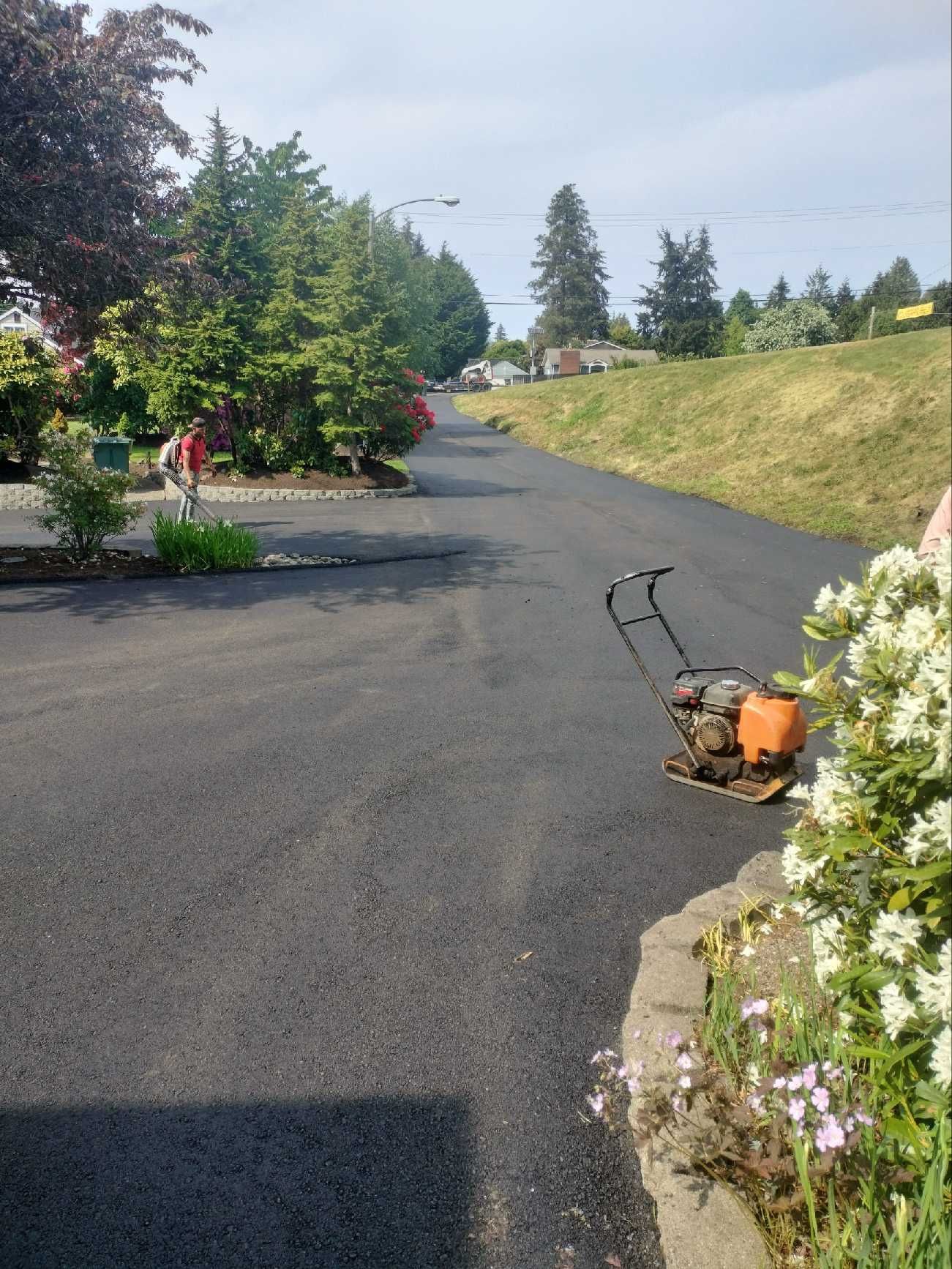 Asphalt Driveway