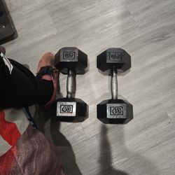 40lb