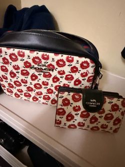 Coach Set