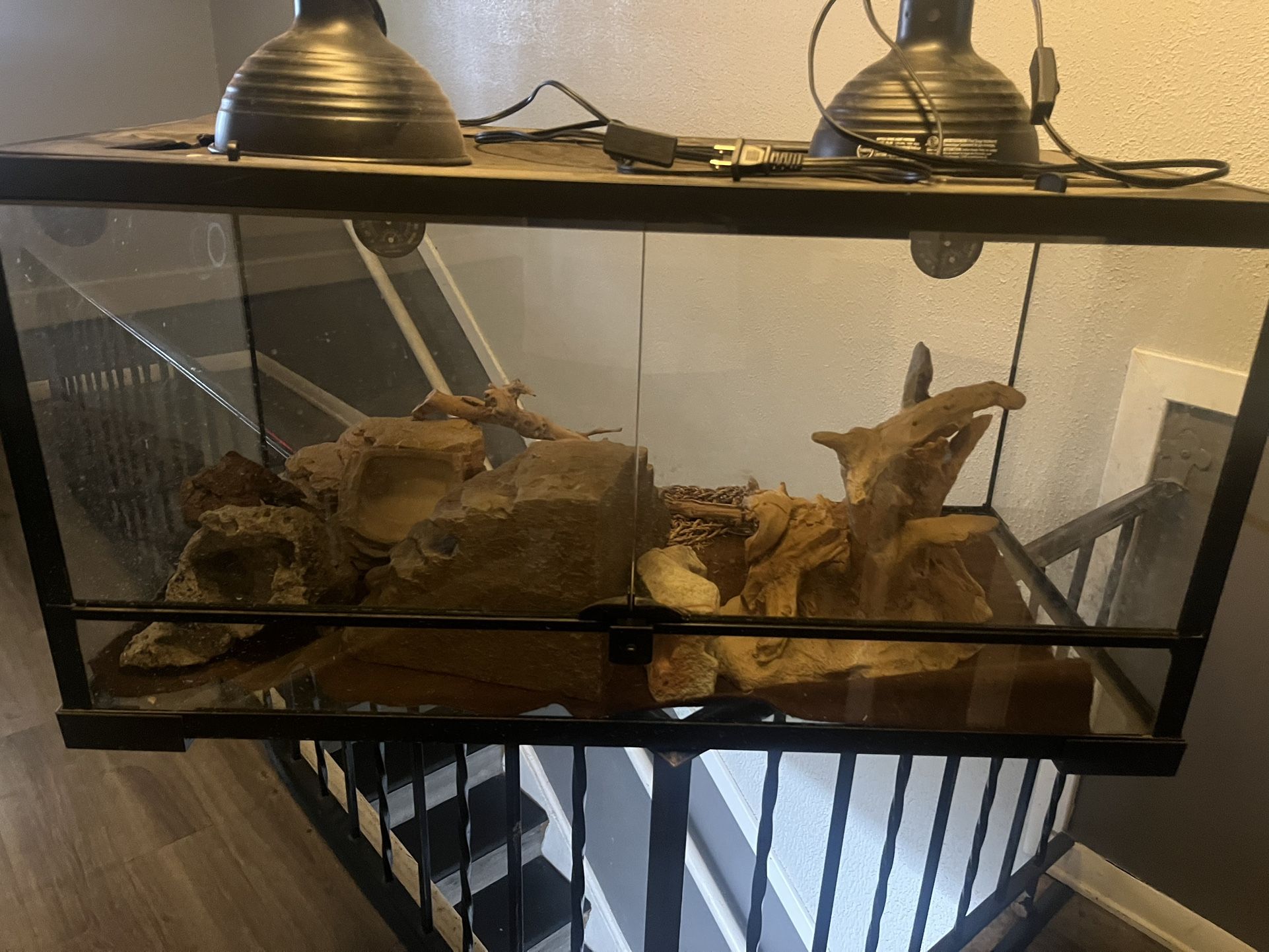 Thrive Front Double Door Opening Reptile Terrarium Desert Essentials Kit - 40 Gallon