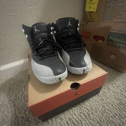Jordan 12 Barons