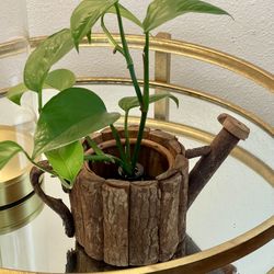 Rustic Wooden Watering Can Indoor/outdoor Planter 4.5 Inches Tall