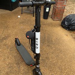 Renewed Bird Scooter With Jbl Clip3