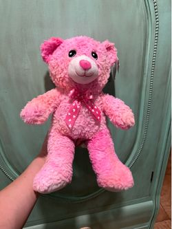 Pink Teddy Bear plushie