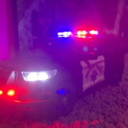 Realistic 1/24 Chp Diecast Model With Realistic Lights And Siren!