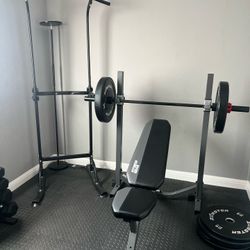 Olympic Workout Bench & Pull-up , Dip Station Stand 