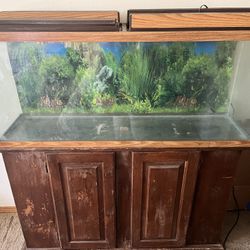 Fish tank & Accessories (sold separate) 