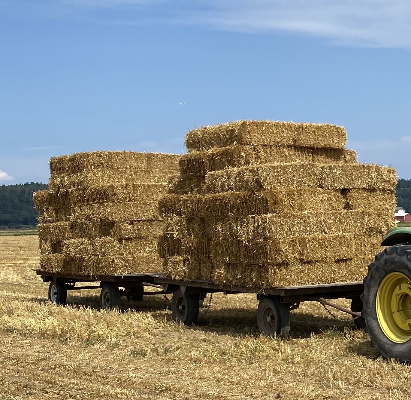 Straw