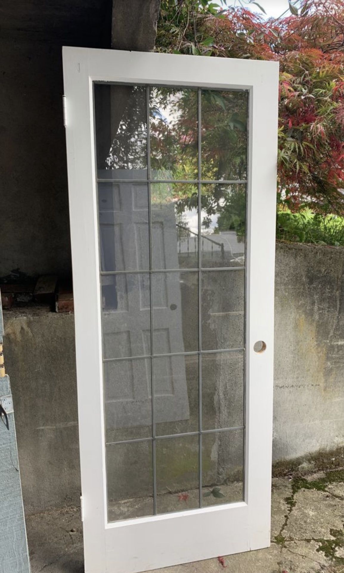 Interior Glass Door 31.5”x79.25”