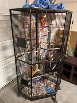 Bird Cage