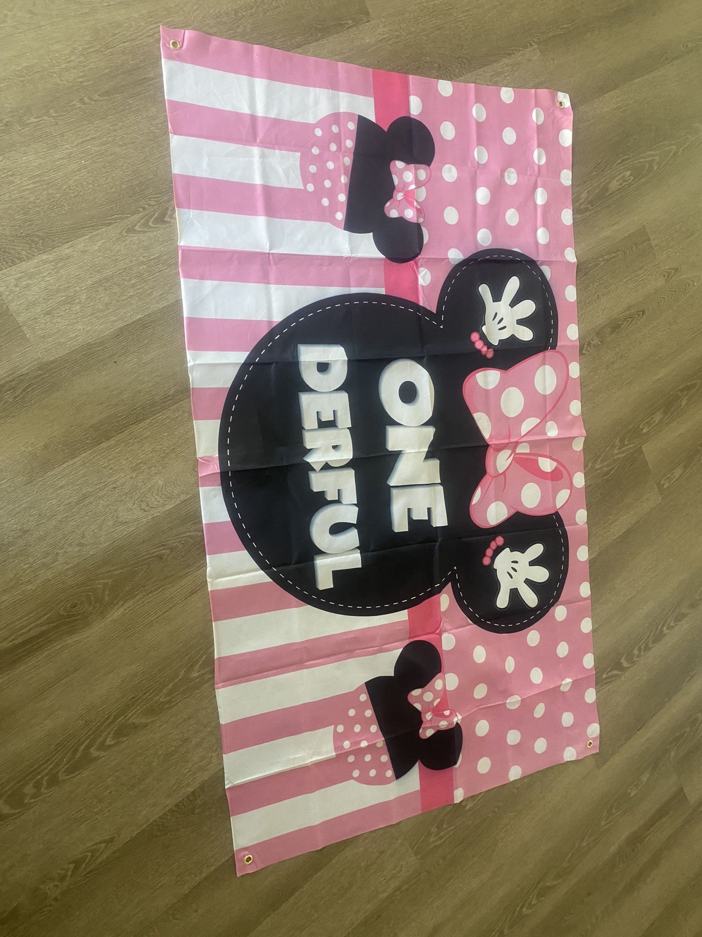 Minnie Backdrop & Birthday Sign