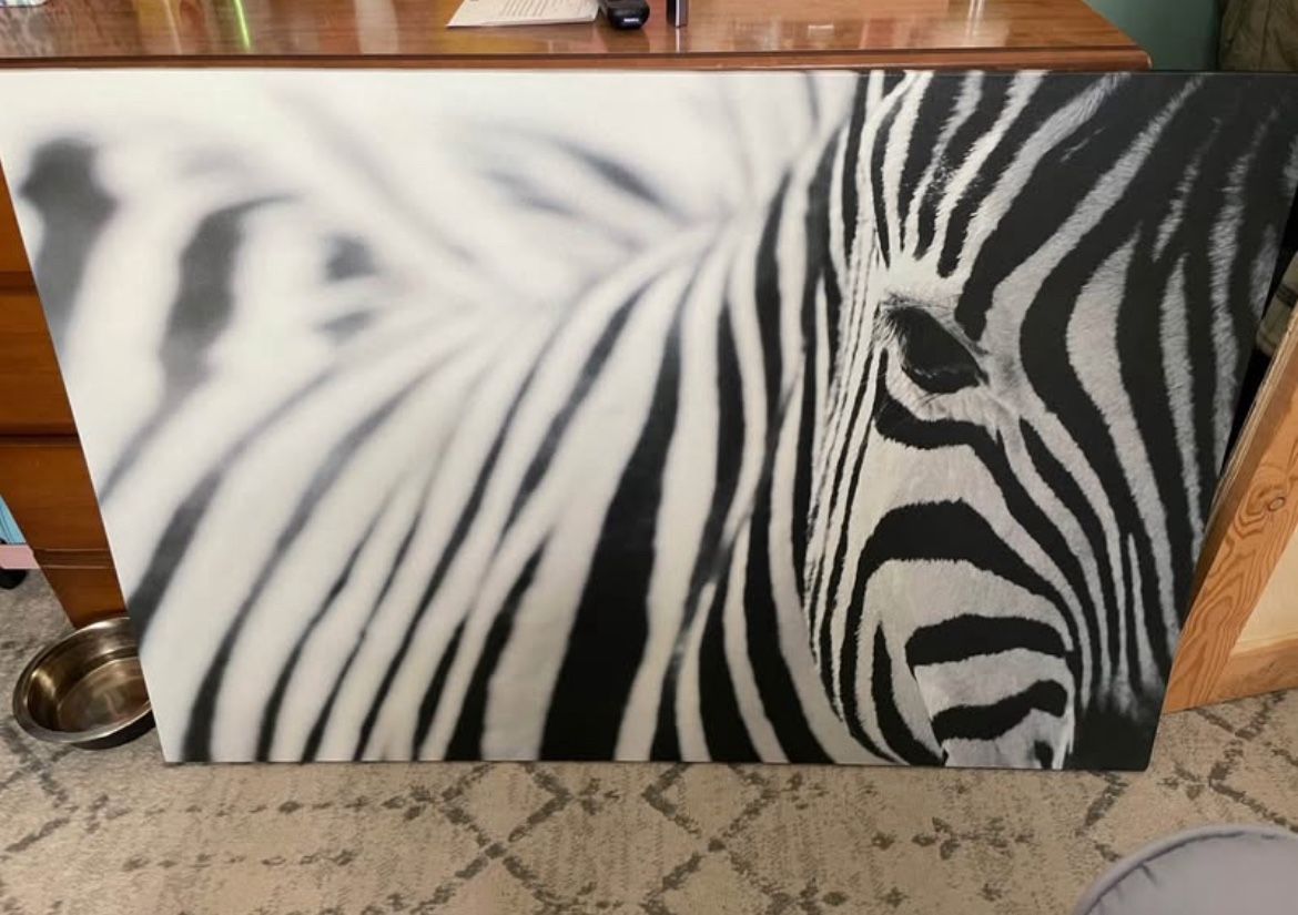 Large Zebra Canvas