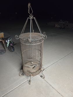 Vintage. Birdcage