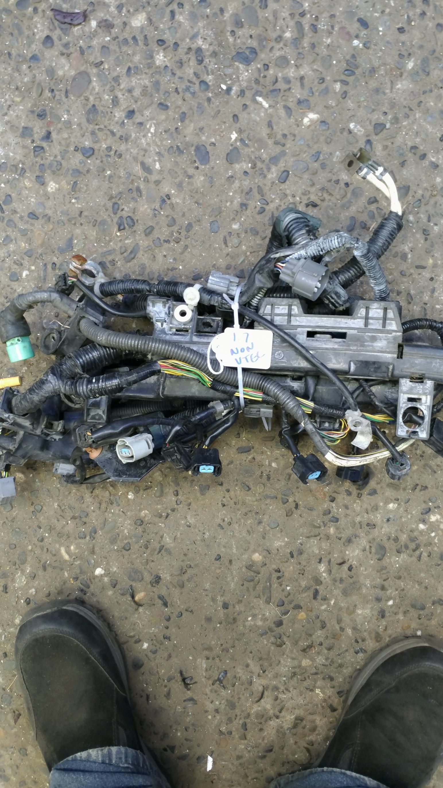 1.7 non vtec motor harness