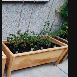 New cedar planters