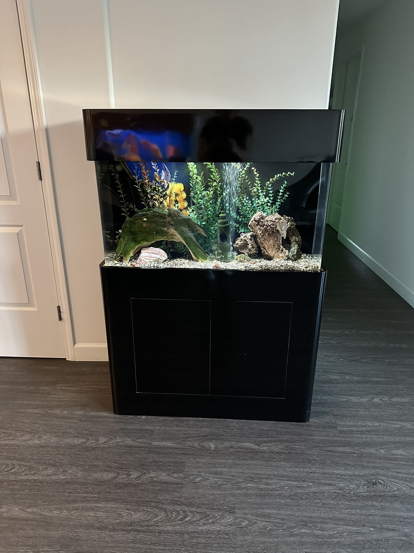 Fish Tank With Stand