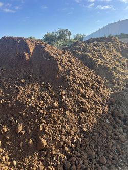 Dirt