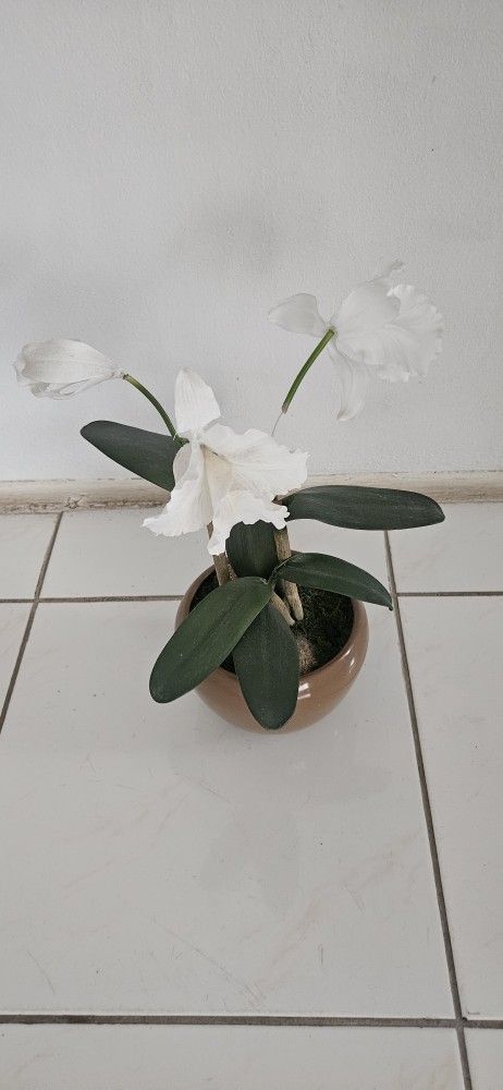 Flowers  ceramic pot. H16" Diameter 8"
