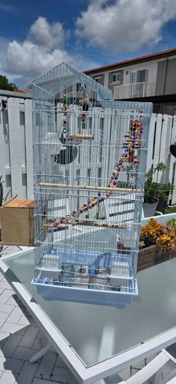 Two Bird  Cages