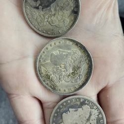 3 Morgan Coins