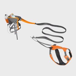 Dog Powered Joring System