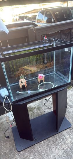 Fish tank and Stand ever thing