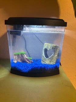 Fish tank