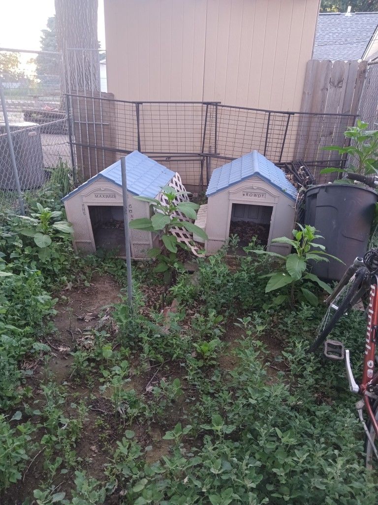 2 Large Dog Houses