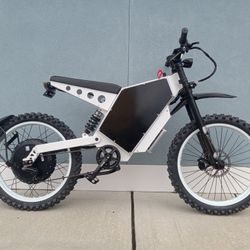 Dynalion K8 Electric Bicycle 