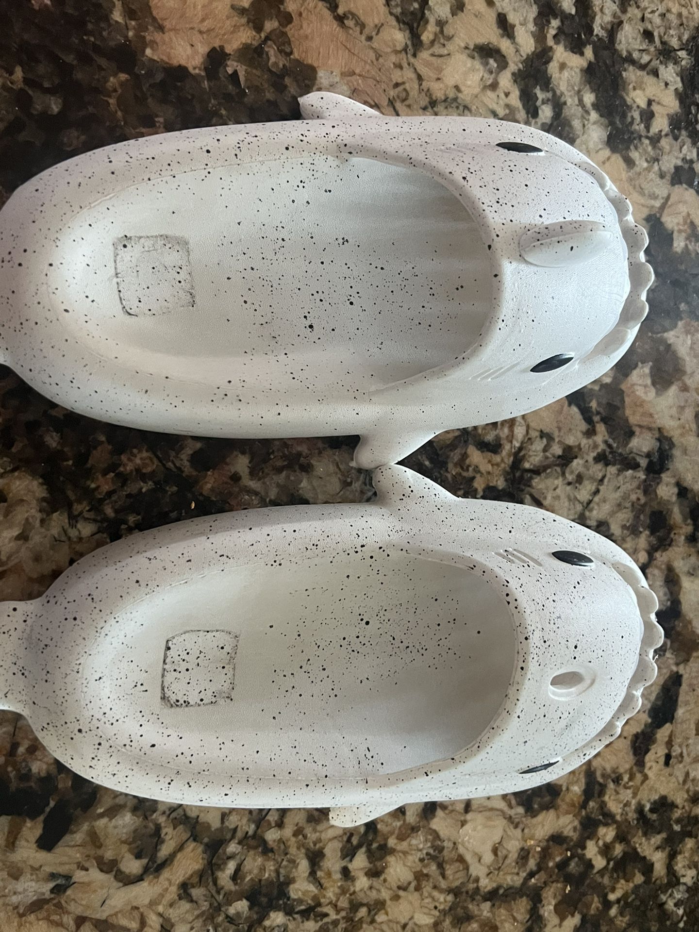 Shark Slides