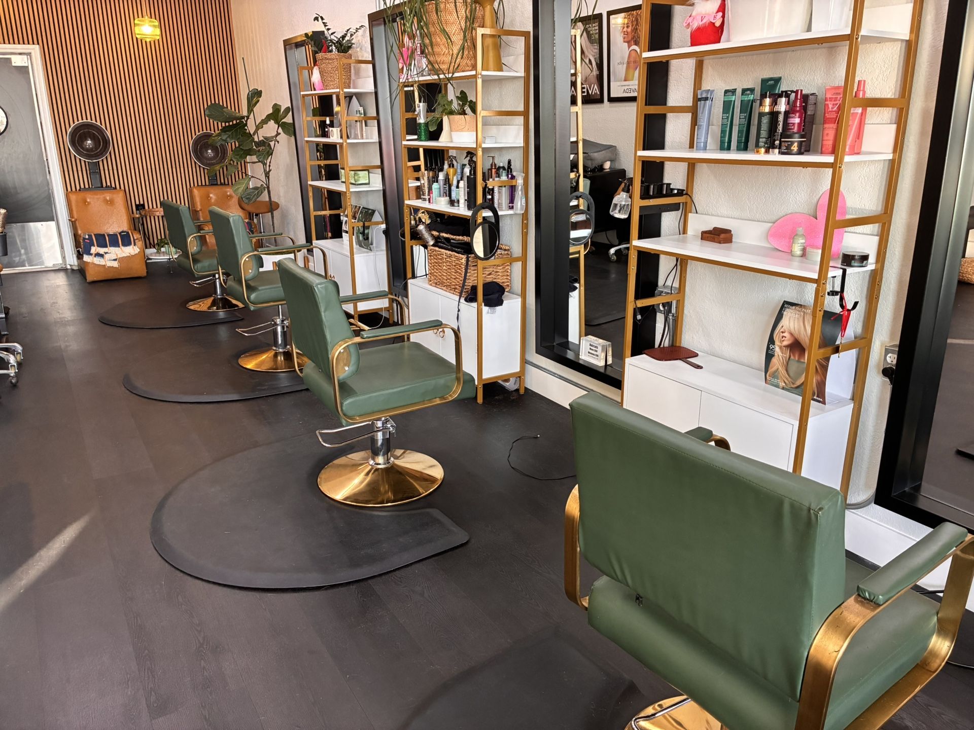 Hydrolic Salon Chairs