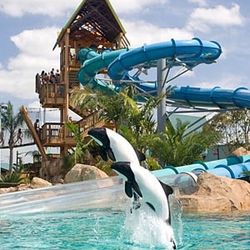Aquatica 1 Day Entry 